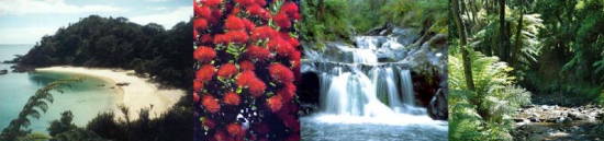 Coromandel  - Holiday Paradise