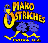Piako Ostriches
