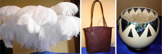 Quality Ostrich Products available online